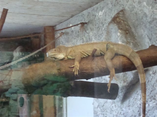 Walter Zoo