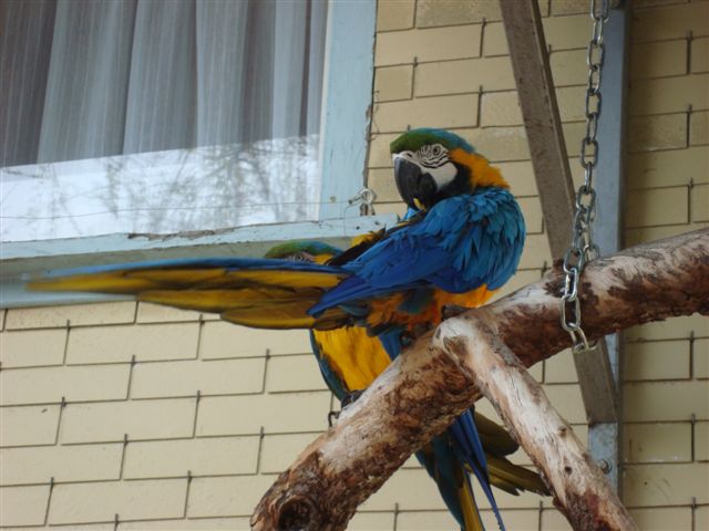Walter Zoo