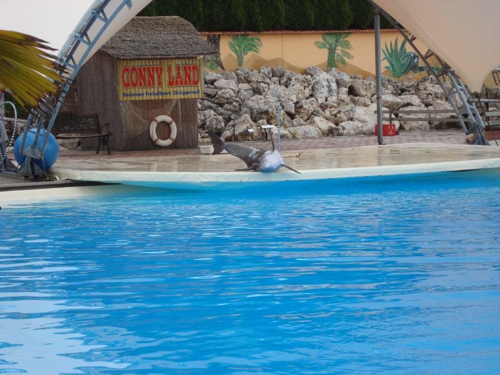 Conny Land