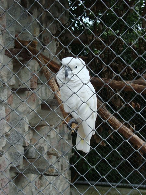 Plättli Zoo Frauenfeld