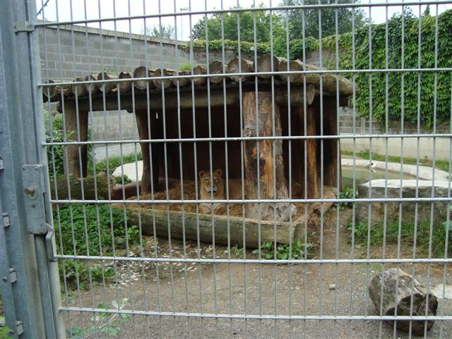 Plättli Zoo Frauenfeld