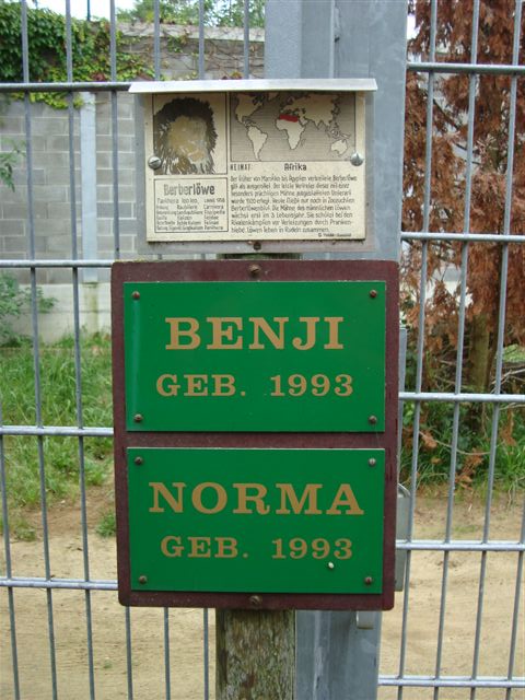 Plättli Zoo Frauenfeld
