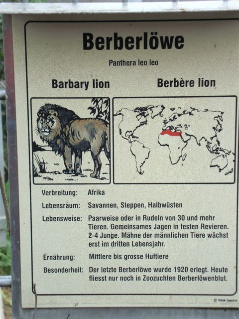 Plättli Zoo Frauenfeld